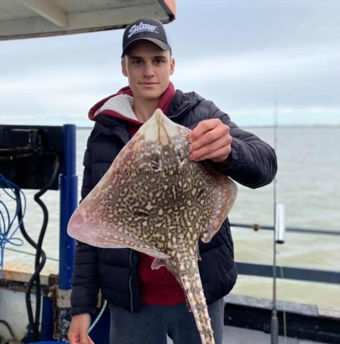 6 lb Thornback Ray by Unknown