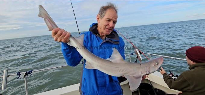 7 lb 1 oz Smooth-hound (Common) by Steven