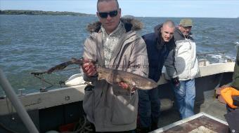 6 lb 5 oz Bull Huss by mark hay