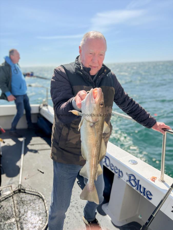 4 lb Cod by Bruce Britton