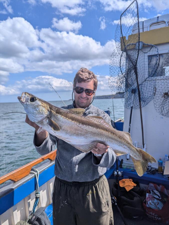 7 lb 12 oz Pollock by Unknown