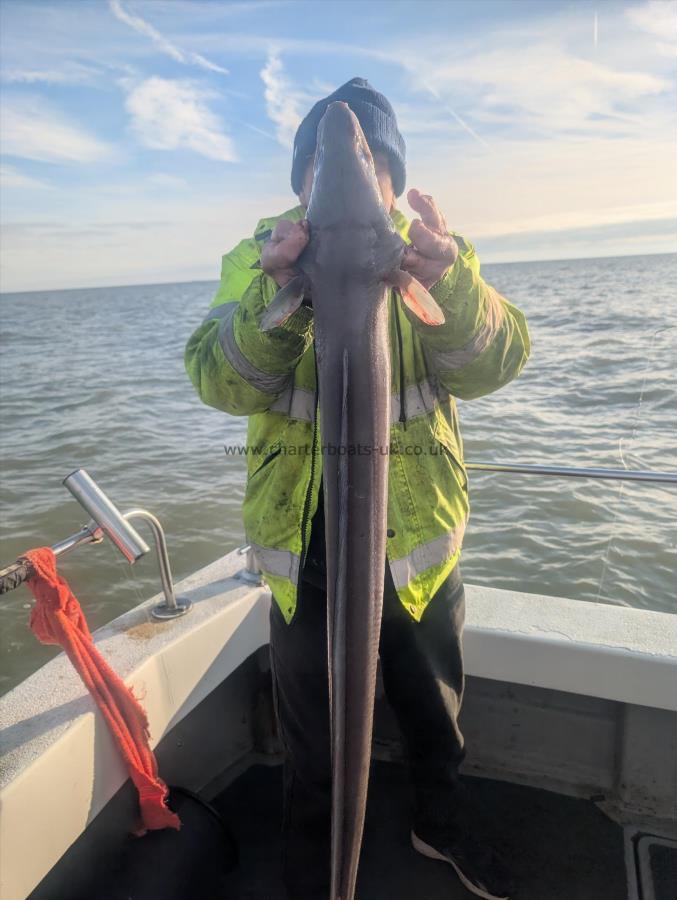 12 lb Conger Eel by Ian