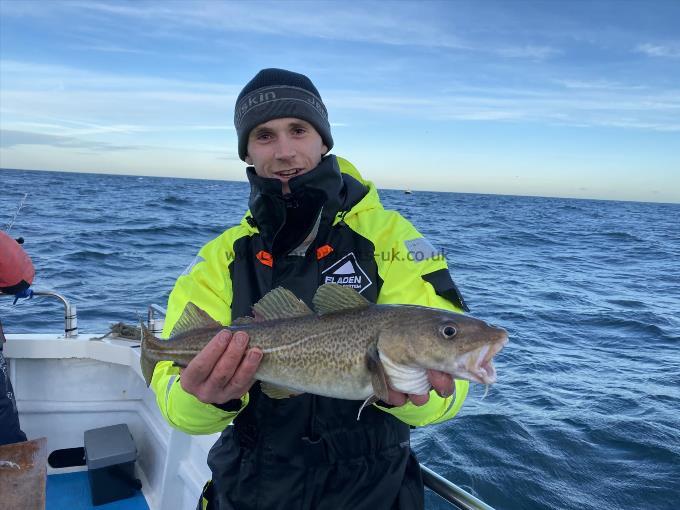 3 lb 14 oz Cod by Billy Hobson.