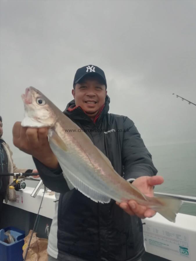 2 lb 5 oz Whiting by glen