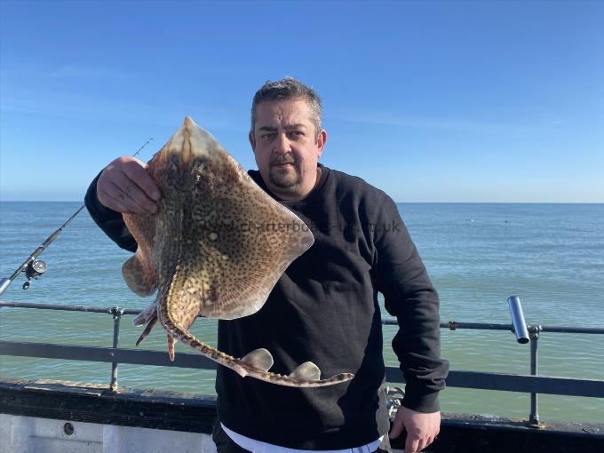 6 lb Thornback Ray by Unknown