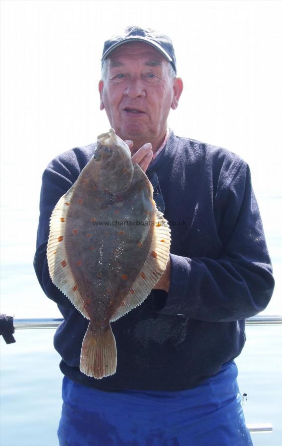 3 lb 9 oz Plaice by David Bebbington