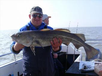 13 lb 12 oz Cod by Cliff Grimwood