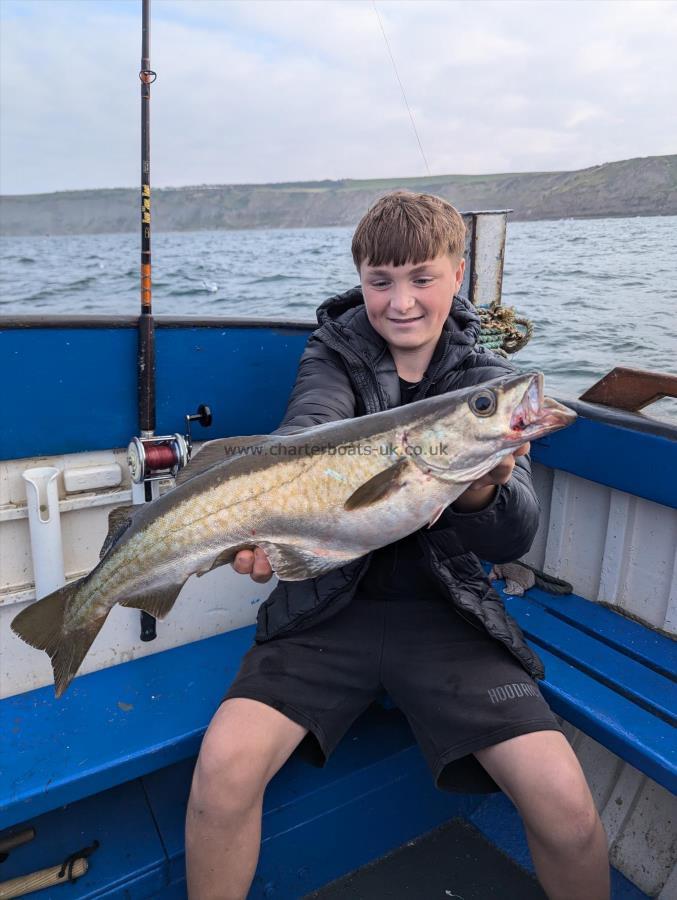 4 lb 9 oz Pollock by Unknown