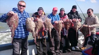 7 lb 5 oz Thornback Ray by Darren party