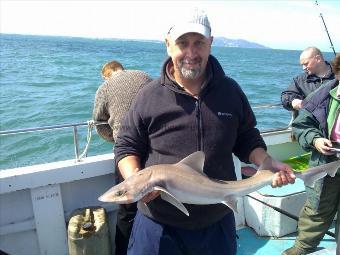 9 lb Starry Smooth-hound by Unknown