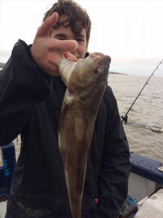 3 lb Cod by Unknown