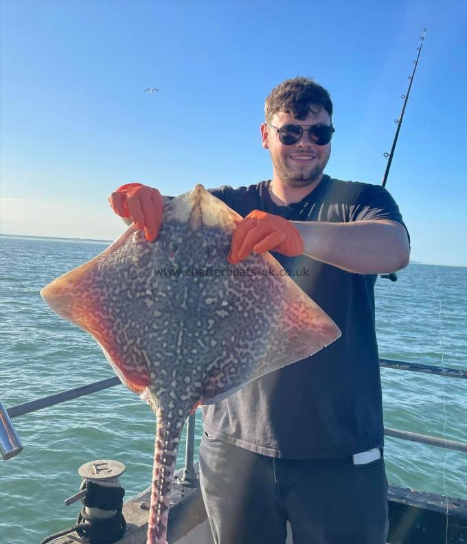 7 lb Thornback Ray by Unknown