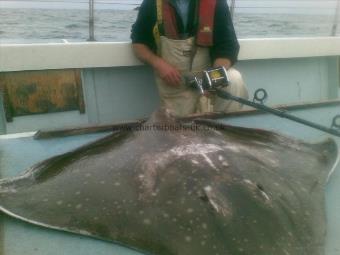 100 lb Common Skate by Unknown