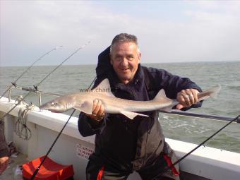 6 lb 5 oz Starry Smooth-hound by Billy Bad Back