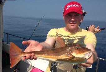 3 lb Tub Gurnard by Anthony Parry