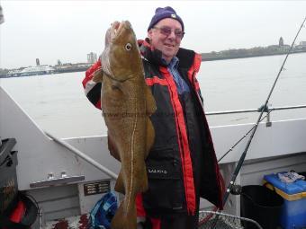 11 lb 4 oz Cod by barry