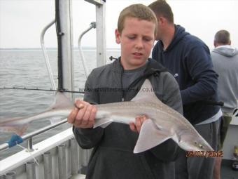 5 lb 6 oz Starry Smooth-hound by Unknown