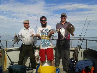 2 lb Black Sea Bream by Unknown