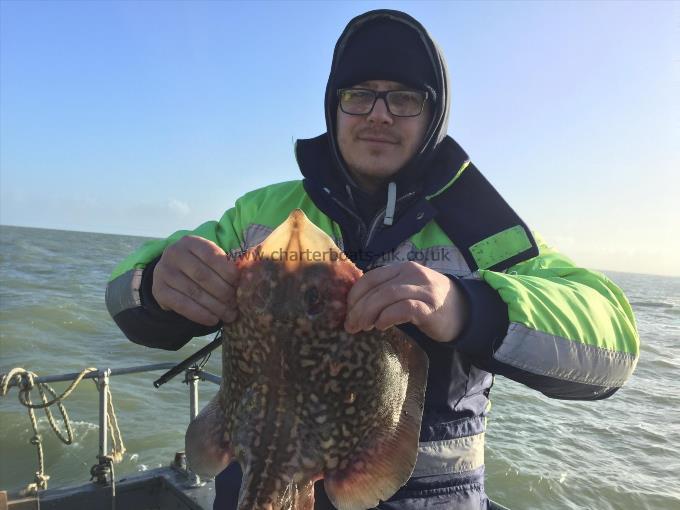 5 lb Thornback Ray by Unknown