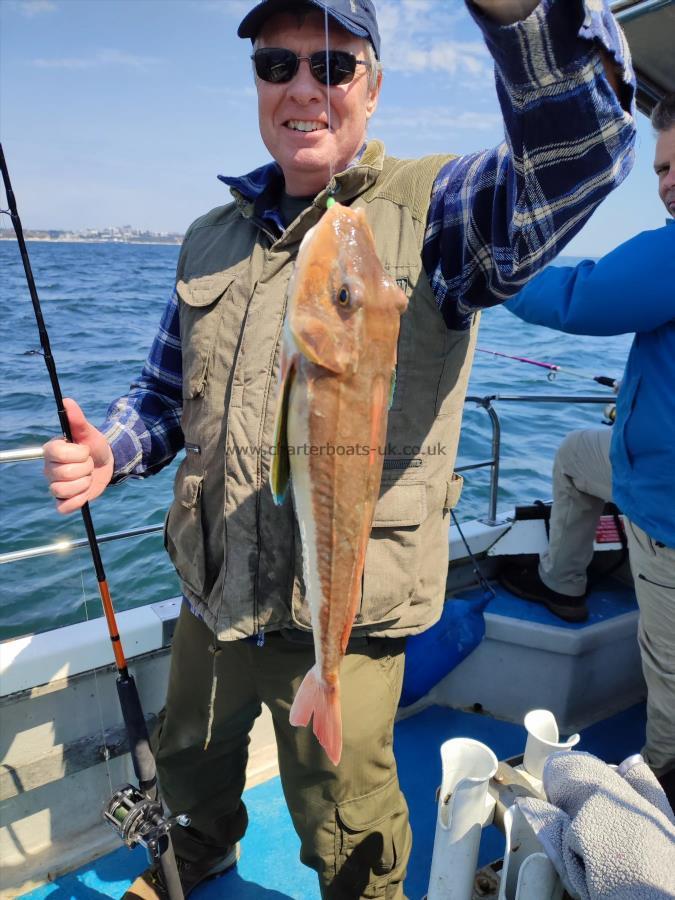 1 lb 14 oz Tub Gurnard by Pete