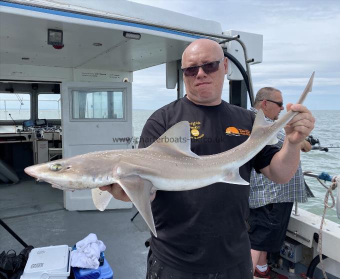 7 lb Smooth-hound (Common) by Unknown