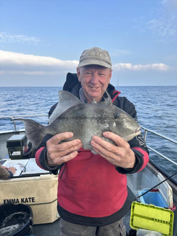 3 lb 5 oz Trigger Fish by Ian