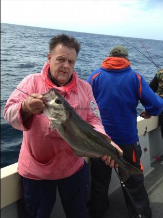 7 lb 7 oz Pollock by Colin Thomas