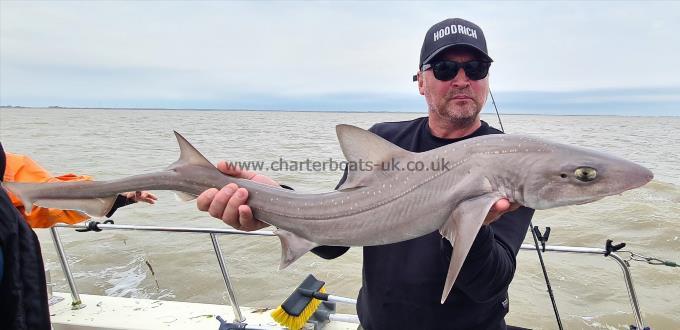 11 lb 2 oz Smooth-hound by Dave