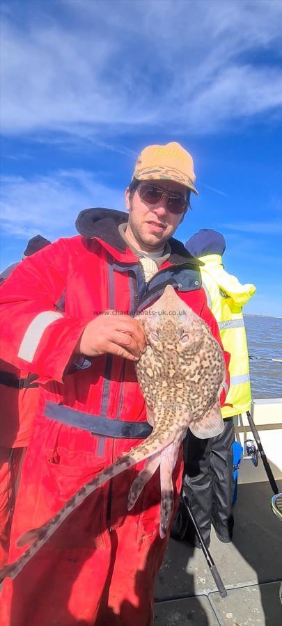 5 lb 2 oz Thornback Ray by Jjoe