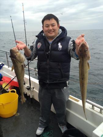 12 lb Cod by Fang