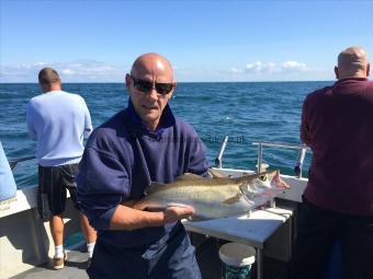 5 lb 12 oz Pollock by Unknown