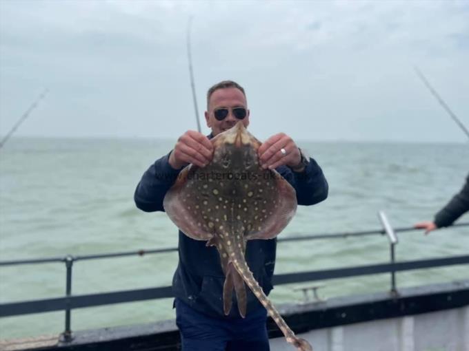 6 lb Thornback Ray by Unknown