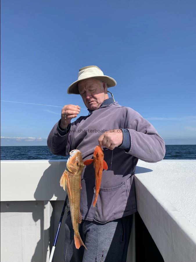 3 lb 2 oz Tub Gurnard by Unknown