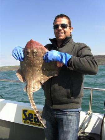 7 lb Thornback Ray by Unknown