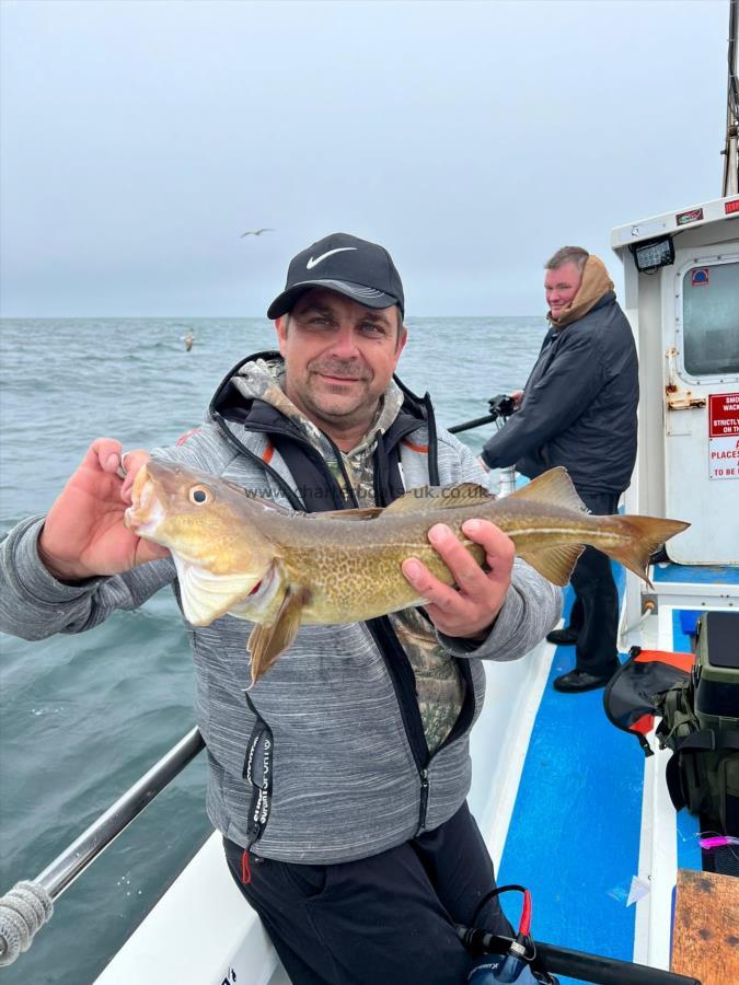 3 lb 6 oz Cod by Unknown