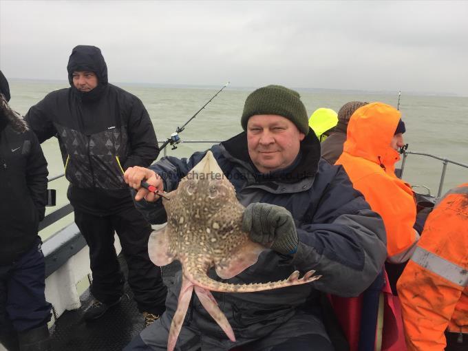 4 lb 4 oz Thornback Ray by Unknown