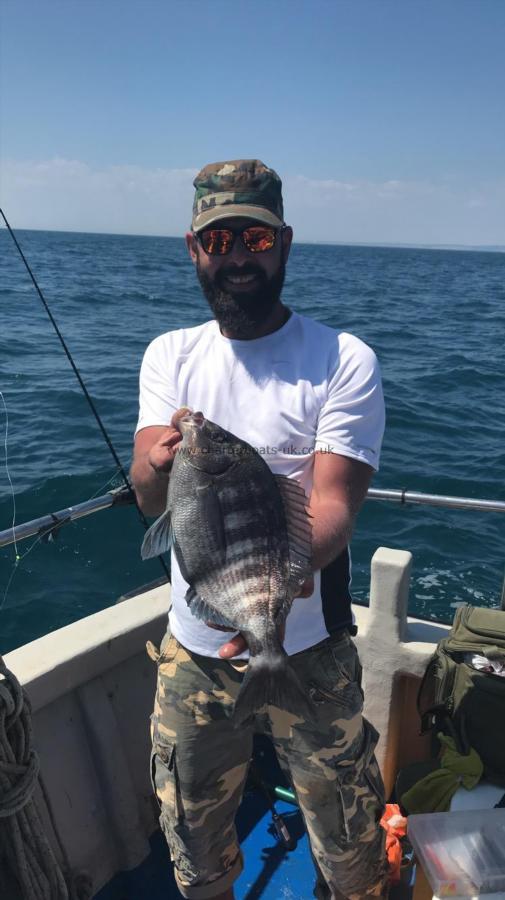 4 lb 8 oz Black Sea Bream by Unknown