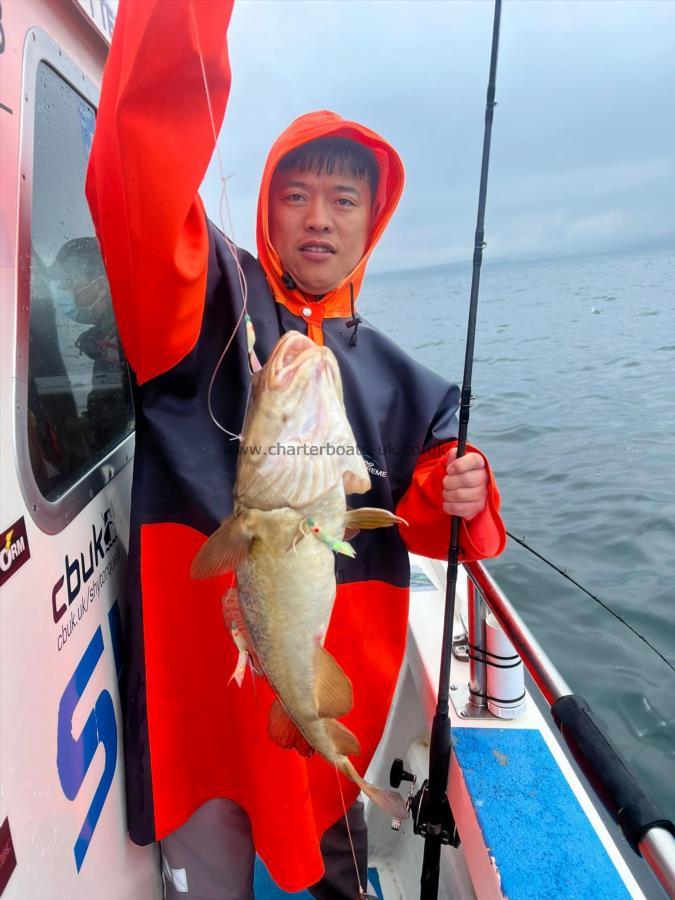 5 lb 8 oz Cod by Unknown