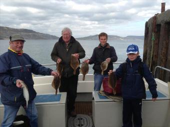 2 lb Plaice by Unknown