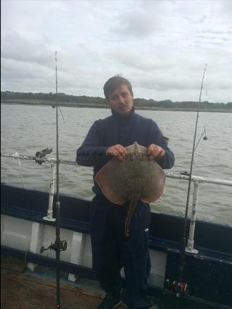 7 lb Thornback Ray by Unknown