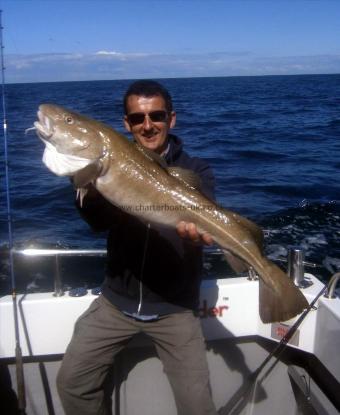 14 lb 7 oz Cod by Unknown