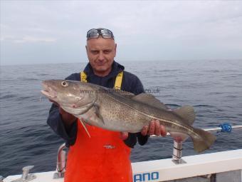 7 lb Cod by Steve Ives from Hull.