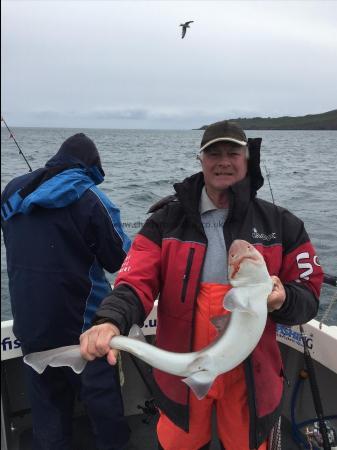 8 lb 10 oz Smooth-hound (Common) by Pete Flavell