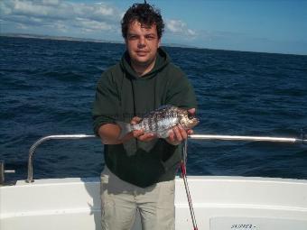 1 lb Black Sea Bream by Unknown