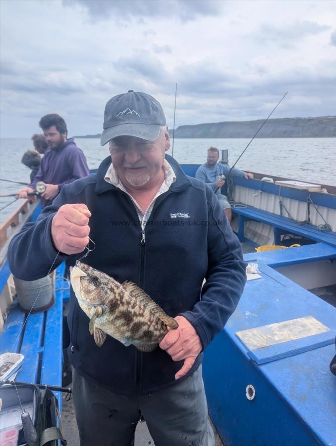 4 lb 2 oz Ballan Wrasse by Unknown