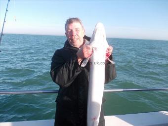 19 lb 7 oz Conger Eel by Jon Himpfen