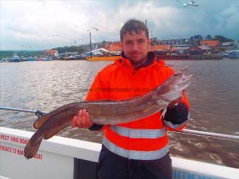 7 lb 12 oz Ling (Common) by Dave from Huddersfield.