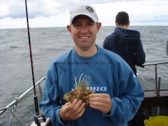 1 lb John Dory by Unknown