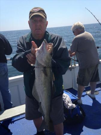 9 lb 8 oz Pollock by Ralf