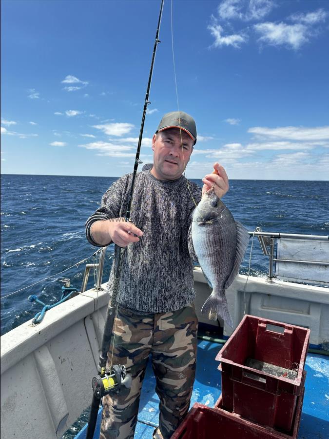 1 lb Black Sea Bream by Unknown